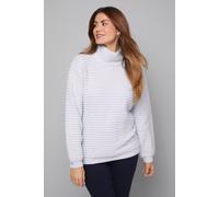 Wallis Fluffy Stripe Roll Neck Jumper In Pale Blue pale blue L