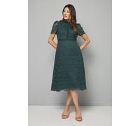 Wallis High Neck Lace Fit And Flare Midi Dress In Forest forest 18