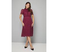 Wallis High Neck Lace Fit And Flare Midi Dress In Plum plum 14
