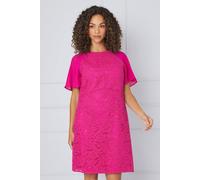Wallis Lace Angel Sleeve Shift Dress In Raspberry raspberry 10