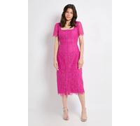 Wallis Lace Button Midi Dress In Pink pink