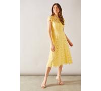 Wallis Lace Fit And Flare Midi Dress In Lemon lemon