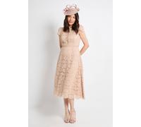 Wallis Lace Fit And Flare Midi Dress In Mocha mocha