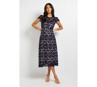 Wallis Lace Fit And Flare Midi Dress In Navy navy