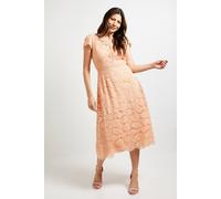Wallis Lace Fit and Flare Midi Dress, 12, Peach