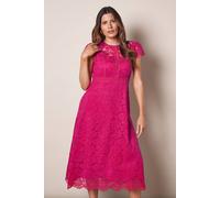 Wallis Women's Lace Fit & Flare Midi Dress in Pink | Size: 12 Wallis Pink 12