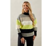 Wallis Multi Stripe High Neck Jumper multi XL