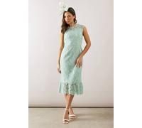 Wallis Petite Cap Sleeve Flute Hem Lace Pencil Dress In Sage sage 16