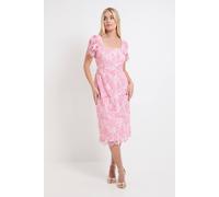 Wallis Petite Contrast Lace Button Midi Dress In Pink pink