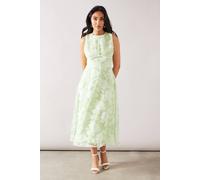 Wallis Petite Floral Burnout Sleeveless Midi Dress In Sage sage 14