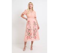 Wallis Petite Floral Lace Button Midi Dress In Blush blush