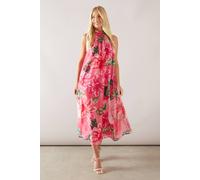 Wallis Petite Floral Organza Halterneck Midaxi Dress In Pink pink 12