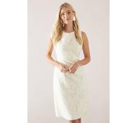 Wallis Petite Hotfix Burnout Floral Pencil Dress In Ivory ivory 18