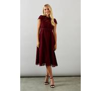 Wallis Petite Lace Fit And Flare Dress In Wine wine 14
