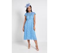 Wallis Petite Lace Fit And Flare Midi Dress In Cornflower Blue cornflower blue