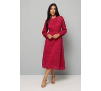 Wallis Petite Lace Long Sleeve Fit & Flare Midi Dress In Pink pink 16