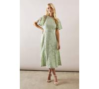 Wallis Petite Lace Trim Midi Dress In Sage sage 14