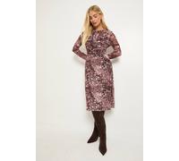 Wallis Women's Petite Mixed Animal Mesh Ruched Midi Dress in Mocha | Size: 10 Wallis Mocha 10