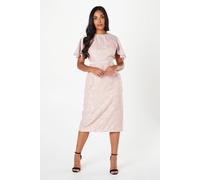 Wallis Petite Occasion Floral Cap Sleeve Pencil Dress In Pink pink 14