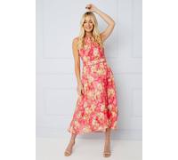 Wallis Petite Occasion Floral Printed Jacquard Midi Dress In Coral coral 14