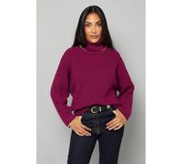 Wallis Petite Roll Neck Gold Detail Jumper In Plum plum L