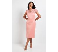 Wallis Women's Petite Scuba Lace Sleeve Pencil Dress in Coral | Size: 16 Wallis Coral 16