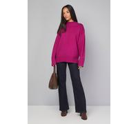 Wallis Seam Detail Funnel Neck Jumper In Berry berry