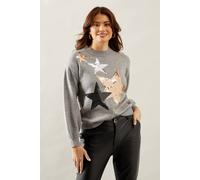 Wallis Sequin Festive Star Roll Neck Jumper In Grey Marl grey marl S