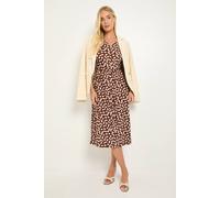 Wallis Women's Spot Petite Jersey Button Midi Dress in Chocolate | Size: 12 Wallis Chocolate 12