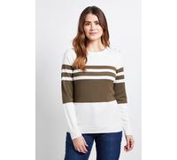 Wallis Women's Colour Block Stripe Knitted Jumper in Ivory | Size: Medium Wallis Ivory M