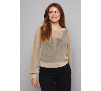 Wallis Women's Crochet Metallic Crew Neck Jumper in Gold | Size: Small Wallis Gold S