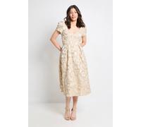 Wallis Women's Jacquard Seam Detail Midi Dress in Blush | Size: 16 Wallis Blush 16