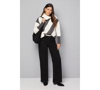 Wallis Women's Knitted Stripe Roll Neck Jumper in Khaki | Size: Small Wallis Khaki S