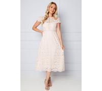 Wallis Women's Lace Fit & Flare Midi Dress in Blush | Size: 16
