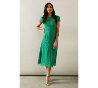 Wallis Women's Lace Fit & Flare Midi Dress in Green | Size: 16