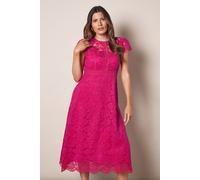 Wallis Women's Lace Fit & Flare Midi Dress in Pink | Size: 8