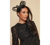 Wallis Women's Loop & Feather Headband in Black Wallis Black One Size