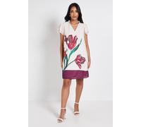 Wallis Women's Petite Floral Stripe Ruffle Neck Shift Dress in Ivory | Size: 12 Wallis Ivory 12