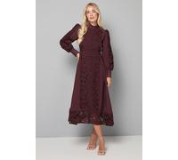 Wallis Women's Petite Premium Lace Collarless Shirt Dress in Burgundy | Size: 12 Wallis Burgundy 12