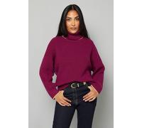 Wallis Women's Petite Roll Neck Gold Detail Jumper in Plum | Size: Medium Wallis Plum M