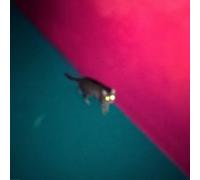 Wallop by !!! (chk-chk-chk) Vinyl 12" Album