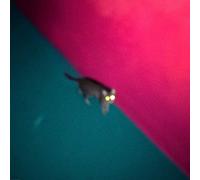 !!! - Wallop [VINYL]