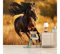 Wallpaper Bedroom 250x180cm Running Horse Kitchen Wallpapers Canvas-Based 3D Mural with Oil Paint Texture, Seamless Layout, Perfect for Cosy bedrooms EB24-2807