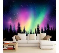 Wallpaper Black Panoramic Deco Wallpaper Mural Natural Starry Sky and Northern Lights Wallpaper 220gsm Premium Non-Woven Wallpaper 300 x 210 cm Printed Wallpaper for Room Wall Deco