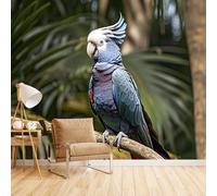 Wallpaper for Girls Bedroom Macaw, Wall Mural Colourful Tropical Parrots Bedroom Feature Wall No Mess No Fuss Instant Room Makeover Durable & Tear-Resistant 500X280Cm