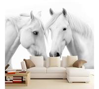 Wallpaper Mural 250 x 175 cm (W x H), Natural Animals Photo Wallpaper 3D Wall Mural, White Non-Woven Premium Art Print Decoration Poster Picture for Living Room Bedroom TV Backdrop