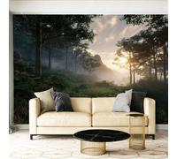 Wallpaper Mural, Forest Morning Mist Mountain Woods Decoration Wall CoveringWallpaper Wall Sticker Natural Photorealistic Art for Living Room, Bedroom, Office, Meditation Sage Green300 x 210 cm