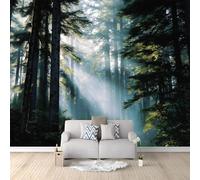 Wallpaper Murals Forest Sunset Nature 400x280 cm Modern Art HD Poster Mural 3D Photo Wallpaper, Living Room Bedroom Home Office Backdrop Wall Decor