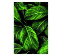 Wallpaper Non-Woven Premium Vlies 169x254cm Green Leaves No. H10615M_TV5BY