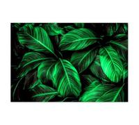 Wallpaper Non-Woven Premium Vlies 200x135cm Green Leaves No. H10614M_TV1AL